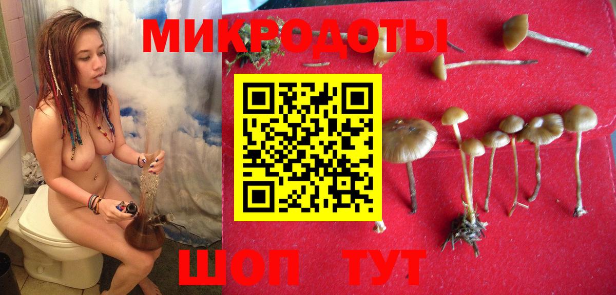 Галлюциногенные грибы мицелий Мариинск