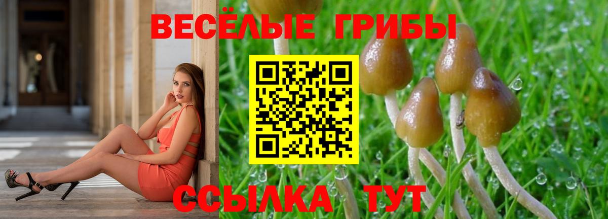 Мариинск  Псилоцибиновые грибы Magic Shrooms  купить наркоту  Вход с VPN 